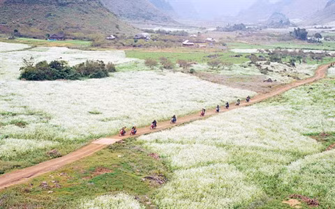 Môc Châu en saison des fleurs ảnh 1