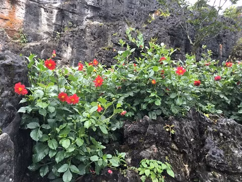 Sa Pa, un vrai paradis montagnard ảnh 3