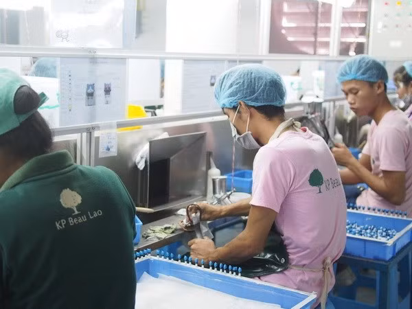 Le Laos, nouvelle destination des investisseurs japonais ảnh 1