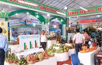 Plus de 4 millions de dollars pour la promotion du commerce en 2017 ảnh 1