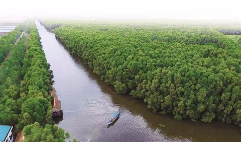 Tourisme durable au Parc national de Tràm Chim ảnh 1