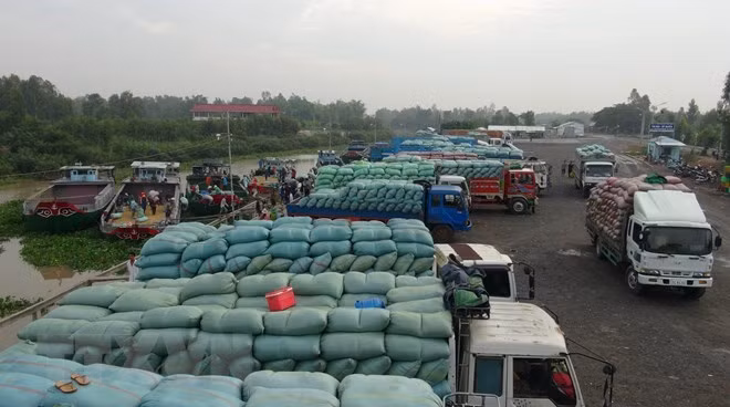 Les exportations de produits agricoles via la porte frontalière internationale de Lao Cai en hausse ảnh 1