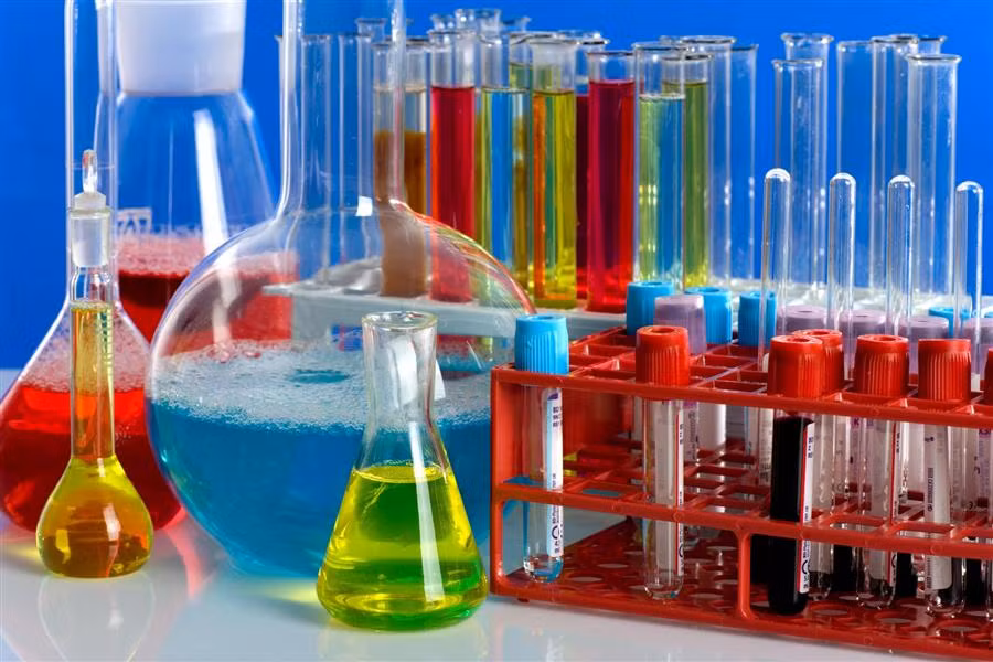 Industrie chimique: des entreprises indiennes cherchent des opportunités à HCM-Ville ảnh 1