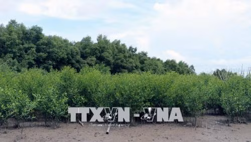 La 6e assemblée du Fonds pour l’environnement mondial bientôt au Vietnam ảnh 1