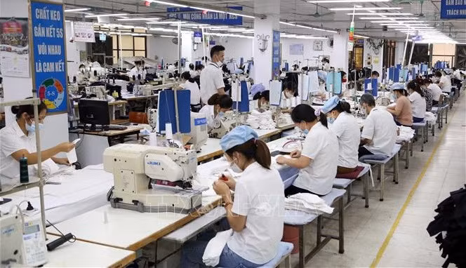 Entreprises vietnamiennes avec de nouvelles opportunités sur le marché ảnh 1