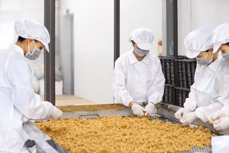 Les producteurs de longanes s’adaptent en attendant le retour des beaux jours ảnh 2