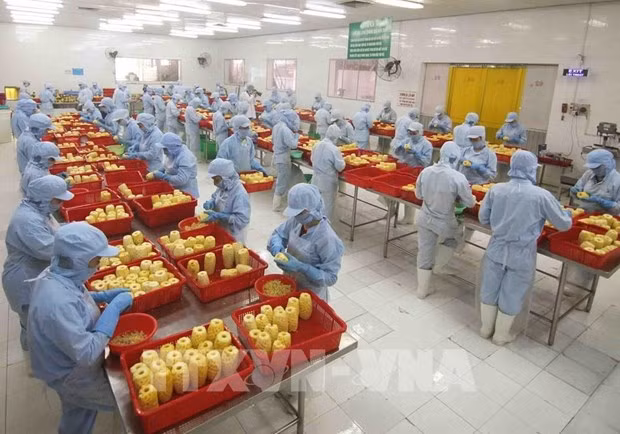 Les exportations de fruits et légumes en hausse de 17,4% au premier semestre ảnh 1