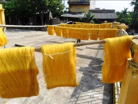 La production de la soie, un ancien métier à Cô Chât ảnh 2