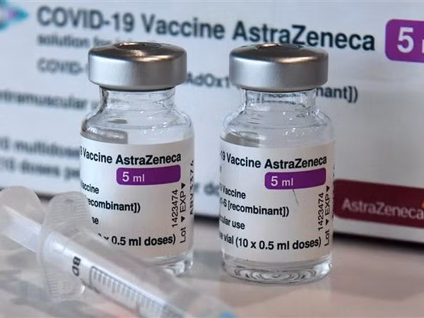 L’Allemagne fera don d'environ 2,5 millions de doses du vaccin d’AstraZeneca pour le Vietnam ảnh 1