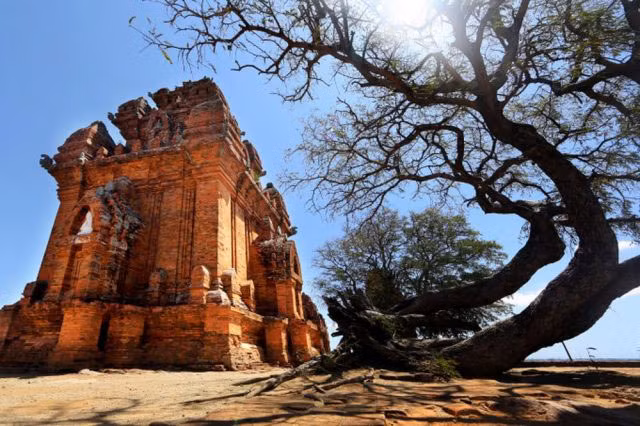 Tourisme au Vietnam: les mystères de la Tour Po Klong Garai à Ninh Thuan ảnh 3