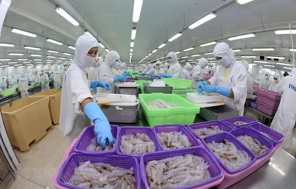 Un expert russe apprécie le rôle de liaison du Vietnam dans les processus d'intégration eurasiatique ảnh 1