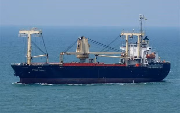 Recherche de signaux du cargo Narimoto Maru dérivant dans les eaux de Binh Thuan ảnh 1