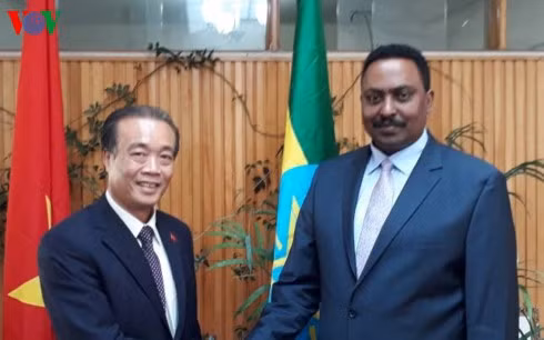 L’Éthiopie demande au Vietnam de rouvrir son ambassade à Addis-Abeba ảnh 1