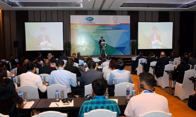 L'APEC discute de mesures visant à renforcer l'accès des PME aux sources de fonds ảnh 1