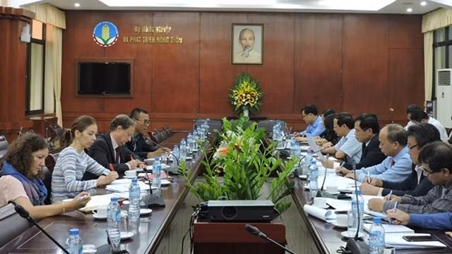 Le pays applique bien les règlements de l’UE sur la pêche illicite, non déclarée et non réglementée ảnh 1