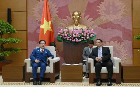 Vietnam et Japon renforcent leur coopération économique ảnh 1