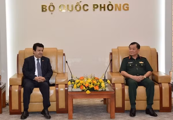 Un vice-ministre de la Défense reçoit l'ambassadeur du Chili au Vietnam ảnh 2