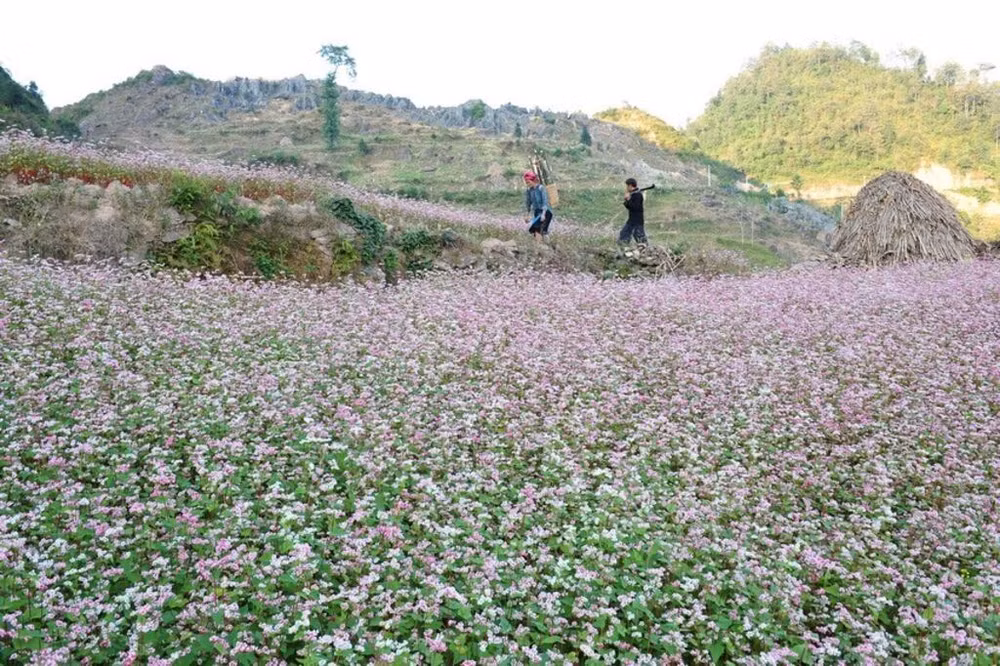 Le Vietnam à moto, une aventure sensationnelle et unique ảnh 3