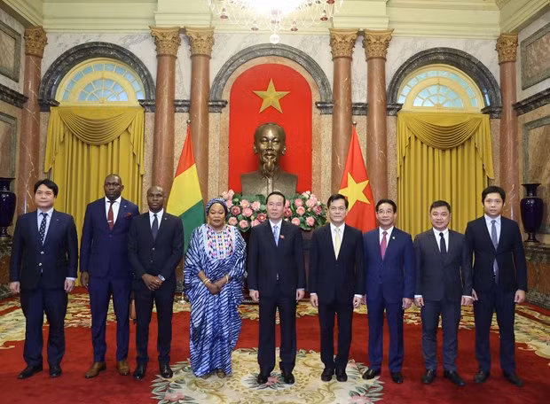 Le président Vo Van Thuong reçoit les nouveaux ambassadeurs étrangers ảnh 4