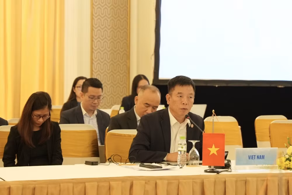 Mer Orientale: Réunion des hauts officiels ASEAN-Chine sur la mise en œuvre de la DOC ảnh 1