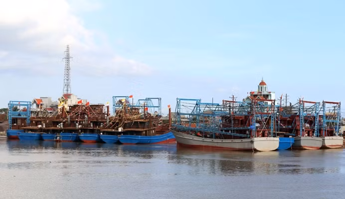  Nam Dinh renforce les mesures contre la pêche INN ảnh 1