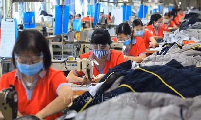Le marché du travail au deuxième trimestre : création de 150.000 nouveaux emplois ảnh 1