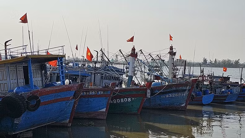 Pêche INN : redoubler d’efforts pour lever le "carton jaune" ảnh 1