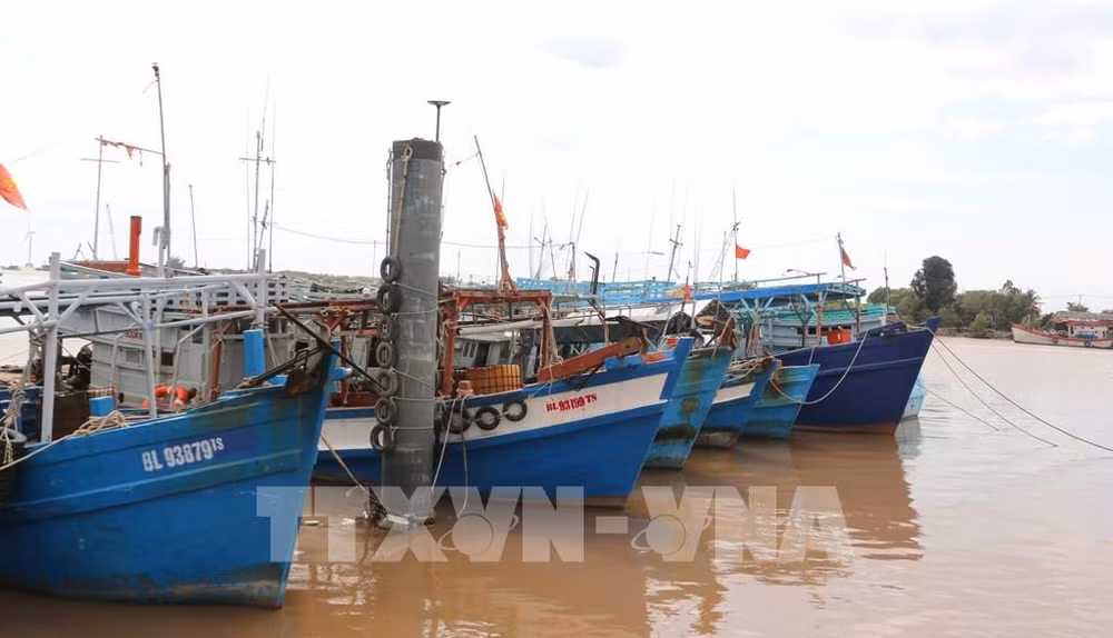 Thanh Hoa surveille strictement les navires pour lutter contre la pêche INN ảnh 1