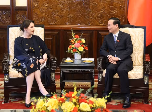 Le président Vo Van Thuong reçoit les nouveaux ambassadeurs étrangers ảnh 2