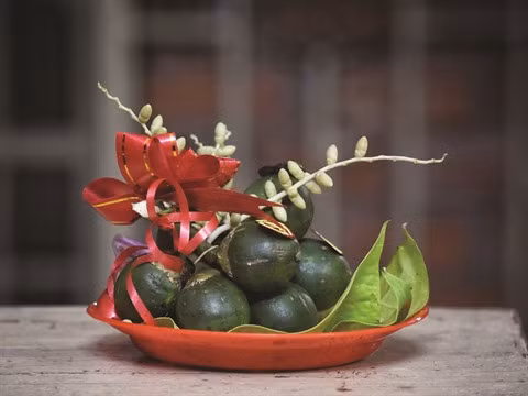 L’origine de la chique de bétel ảnh 3