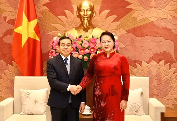 Le Vietnam et le Laos intensifient leur coopération législative en 2020 ảnh 1