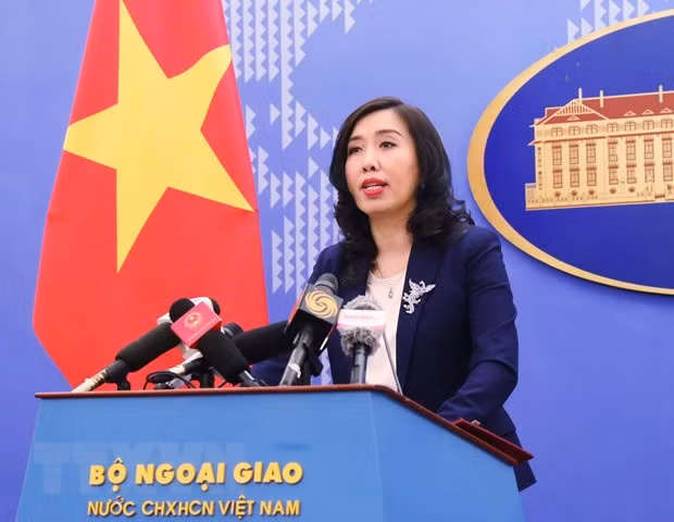 Nouveau coronavirus : protection des Vietnamiens en Chine ảnh 1
