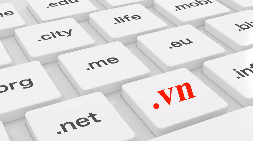 Nom de domaine: Le Vietnam domine toujours l'ASEAN ảnh 1