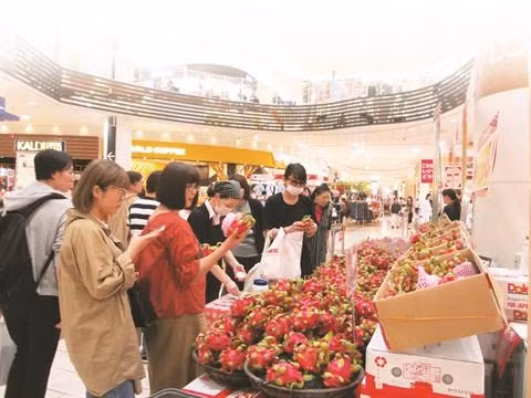 Accords commerciaux: opportunités pour l'agriculture vietnamienne ảnh 1