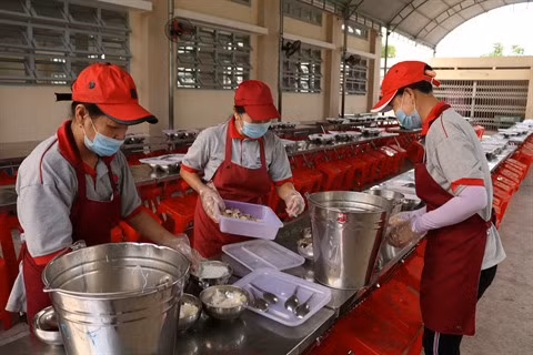 Coordination étroite dans la gestion de la sécurité alimentaire ảnh 1 Coordination étroite dans la gestion de la sécurité alimentaire ảnh 1