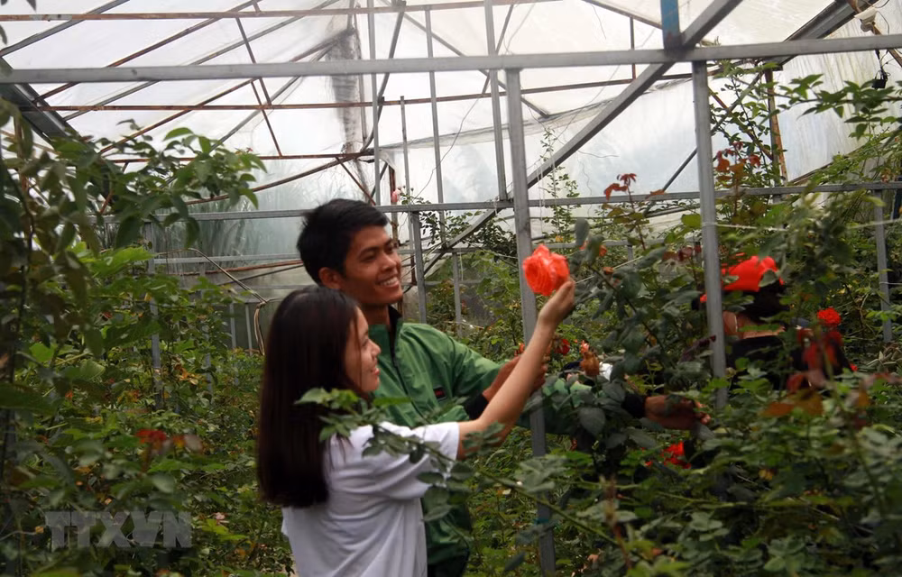 Agoda.com dévoile la liste des principales destinations estivales pour les voyageurs vietnamiens ảnh 1