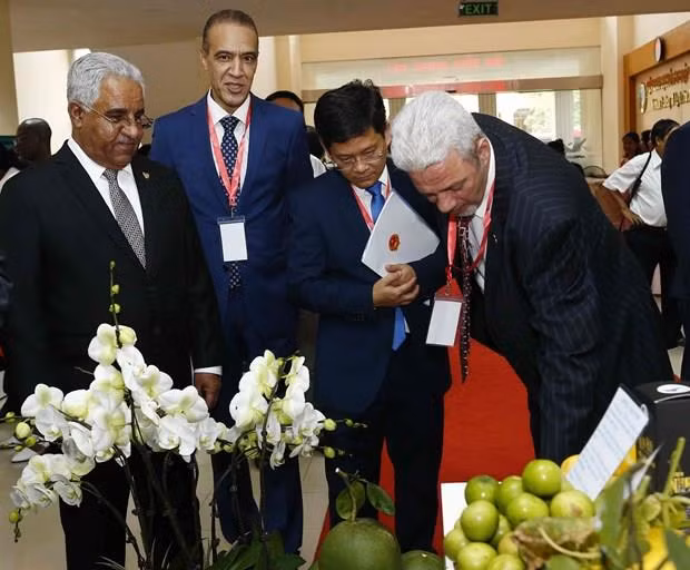 Coopération agricole entre le Vietnam et le Moyen-Orient et l’Afrique ảnh 1