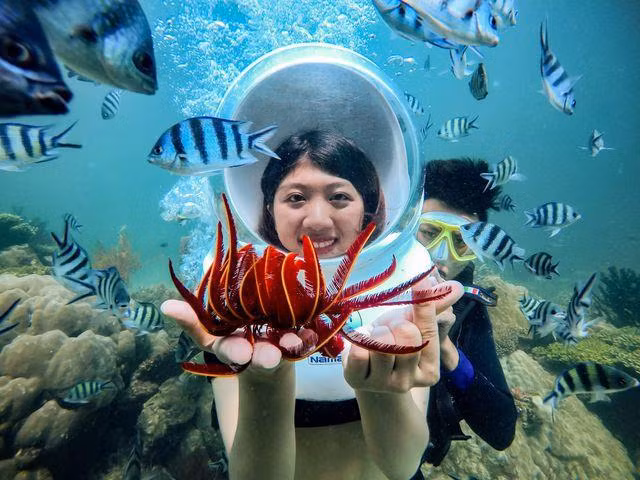 Cinq lieux où admirer les plus beaux récifs coralliens au Vietnam ảnh 1