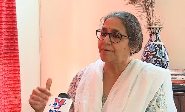 Vietnam-Conseil de sécurité: un érudit indien s'attend à ce que le Vietnam améliore son rôle ảnh 1