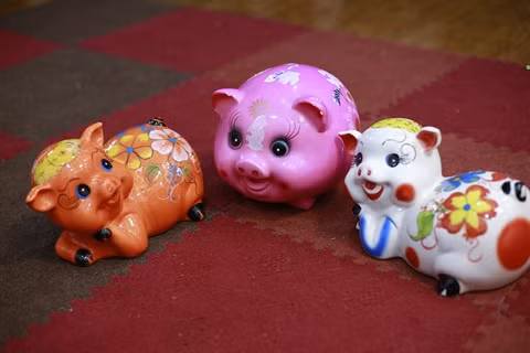 Un cochon tête de l’art ảnh 1