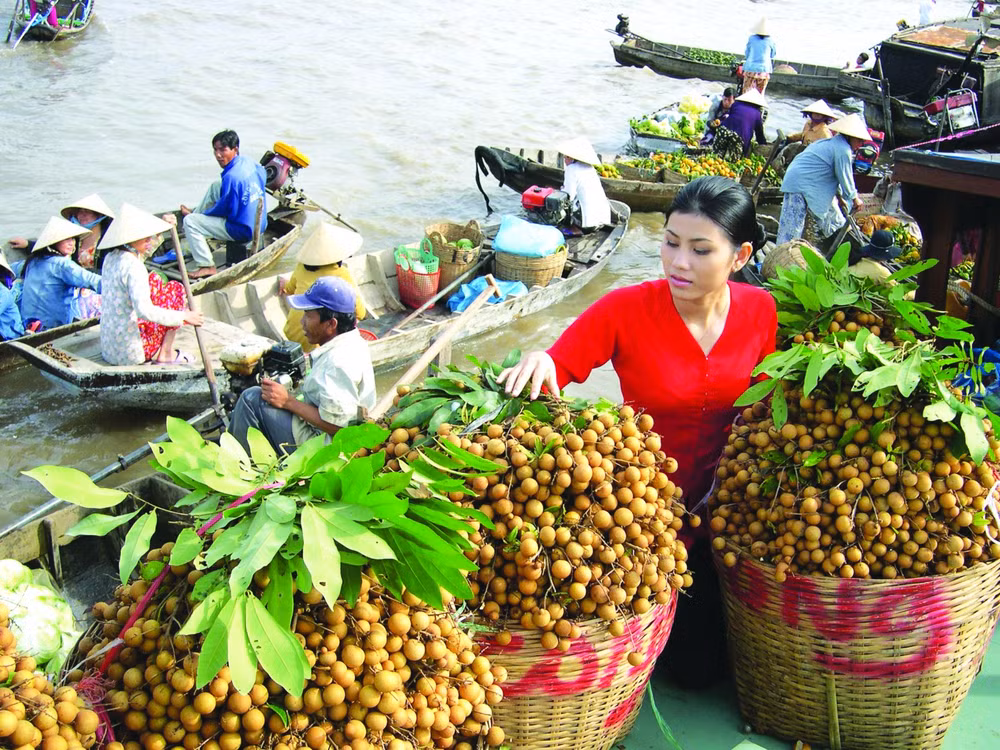 Exportations vietnamiennes de fruits et légumes en 9 mois ảnh 1