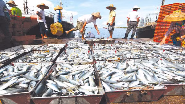 Investissement dans des projets dans 4 provinces du Centre avec la société Formosa ảnh 1