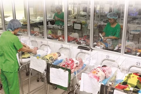 La santé des nouveau-nés, clé de la qualité du développement ảnh 1