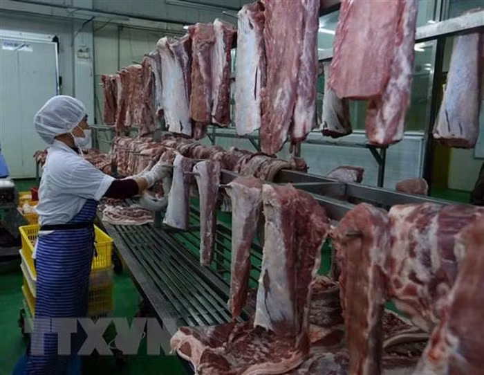 Des solutions pour lutter contre la peste porcine africaine discutées ảnh 1