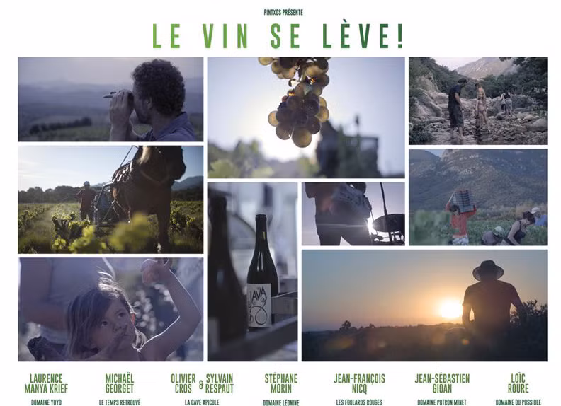 Mois du film culinaire français à Hanoï ảnh 1