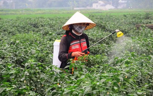 Deux districts de la province de Thanh Hoa atteignent les normes de la Nouvelle ruralité ảnh 1