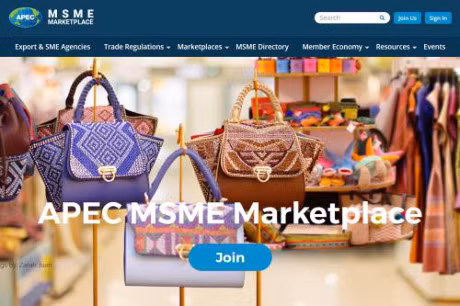 APEC 2017: lancement d'une nouvelle plateforme de transaction pour les MPME ảnh 1