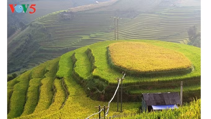Yên Bai s’apprête à accueillir la Semaine de la culture et du tourisme de Muong Lo 2017 ảnh 1