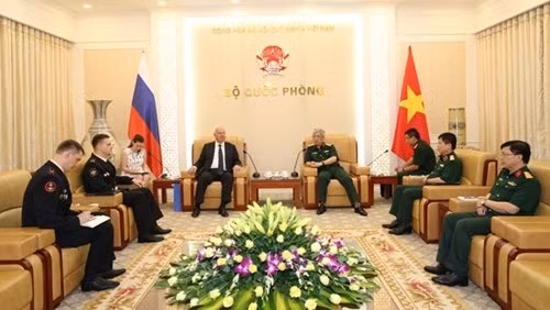 Le vice-ministre de la Défense Nguyen Chi Vinh reçoit des responsables étrangers ảnh 1