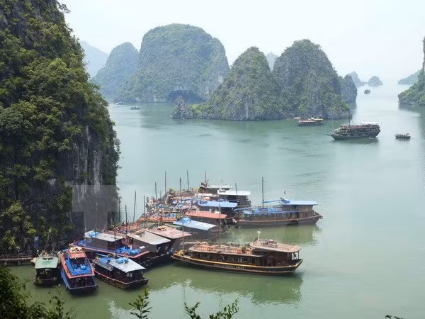 Les entreprises chinoises et vietnamiennes cherchent des opportunités de coopération ảnh 1